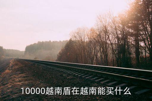 一萬越南盾能買什么，10000越南盾在越南能買什么