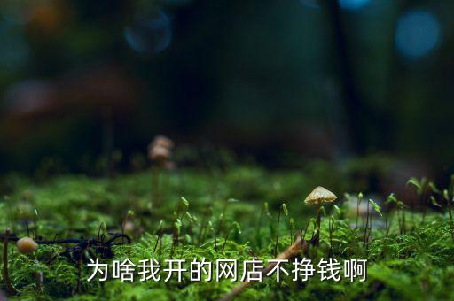 為啥我開(kāi)的網(wǎng)店不掙錢啊