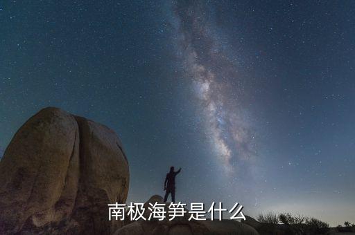 南極天喻是什么，南極海筍是什么