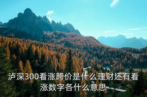 看漲跨價什么意思，理財 滬深300看漲跨價好不好