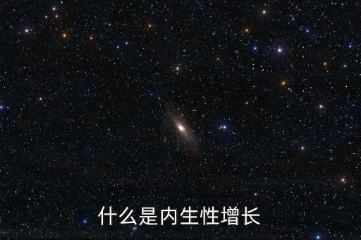 什么是內(nèi)生性增長(zhǎng)
