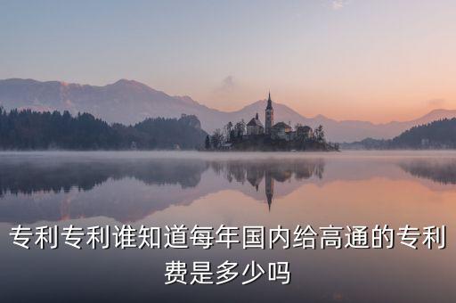 專利專利誰知道每年國內給高通的專利費是多少嗎