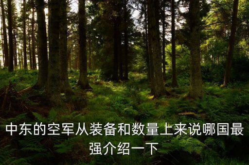 中東的空軍從裝備和數(shù)量上來說哪國(guó)最強(qiáng)介紹一下