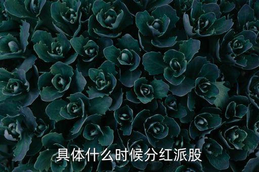 具體什么時(shí)候分紅派股