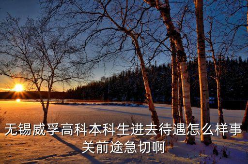 無(wú)錫威孚高科本科生進(jìn)去待遇怎么樣事關(guān)前途急切啊