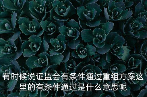 重組項(xiàng)目過會是什么意思，資產(chǎn)重組獲股東大會高票通過什么意思