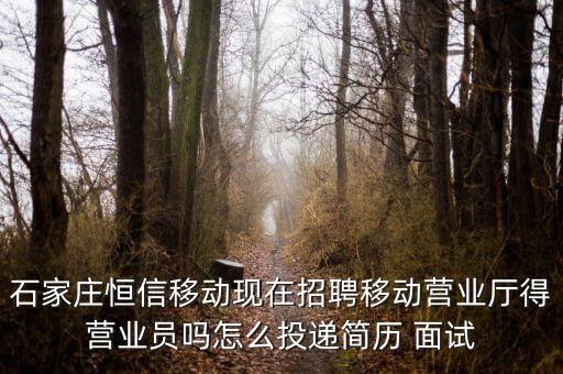恒信移動(dòng)是什么公司，河北恒信是做什么的公司