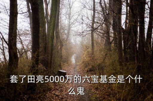 六寶并購基金投資什么項目，套了田亮5000萬的六寶基金是個什么鬼