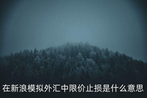 在新浪模擬外匯中限價止損是什么意思