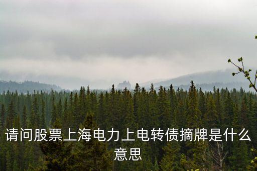 債券摘牌什么意思，天房發(fā)展摘牌公告什么意思