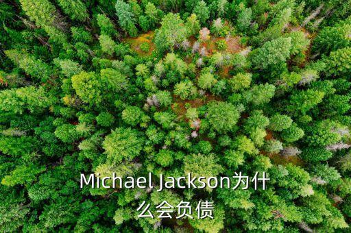 泰森為什么負債，泰森為何欠那么多錢