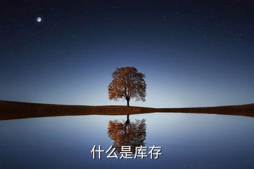 什么是庫(kù)存