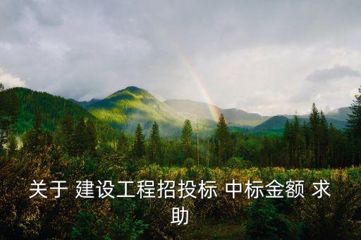 中標金額是什么，關(guān)于 建設(shè)工程招投標 中標金額 求助