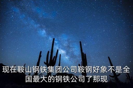 現(xiàn)在鞍山鋼鐵集團(tuán)公司鞍鋼好象不是全國最大的鋼鐵公司了那現(xiàn)