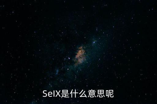 金房寶是什么，SeIX是什么意思呢