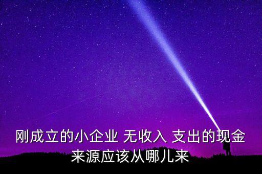 小企業(yè)主為什么沒現(xiàn)金，剛成立的小企業(yè) 無收入 支出的現(xiàn)金來源應(yīng)該從哪兒來