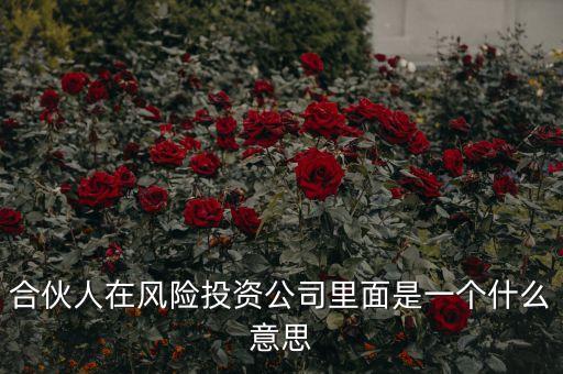 vc合伙人是什么，風(fēng)險(xiǎn)投資公司中的合伙人和經(jīng)理人都是什么意思