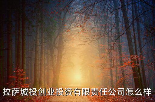 西藏城投是什么公司，拉薩城投創(chuàng)業(yè)投資有限責(zé)任公司怎么樣
