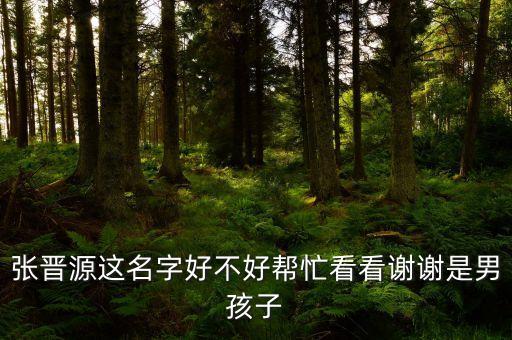 張晉源什么意思，sotong是什么意思