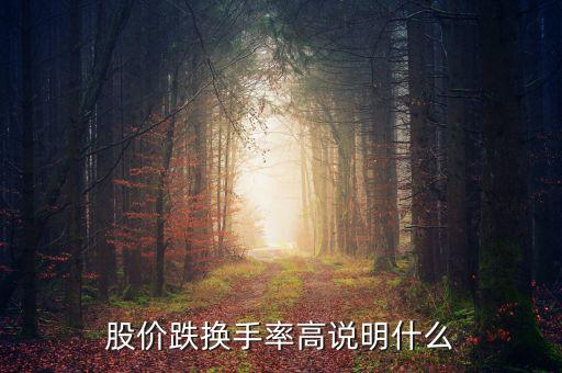 股價下跌換手68什么原因，股價跌換手率高說明什么
