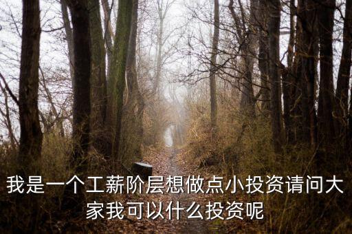我是一個工薪階層想做點小投資請問大家我可以什么投資呢