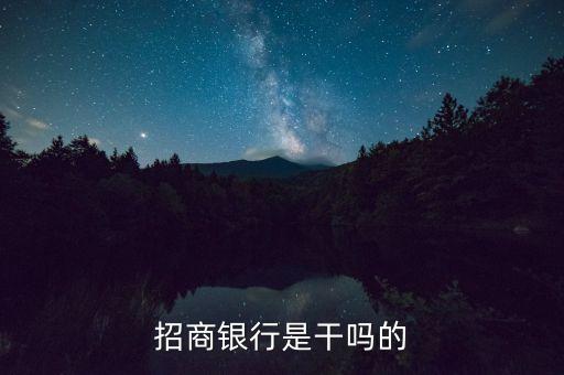 金融招商是做什么的，招商銀行是干嗎的