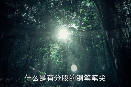 鋼筆頭分股是什么樣的，什么是有分股的鋼筆筆尖