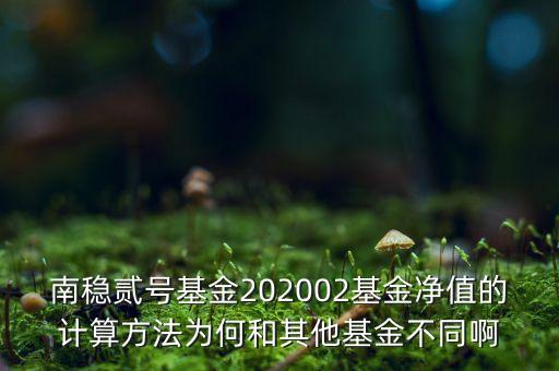 南穩(wěn)二號(hào)為什么要分紅，南穩(wěn)貳號(hào)基金202002基金凈值的計(jì)算方法為何和其他基金不同啊