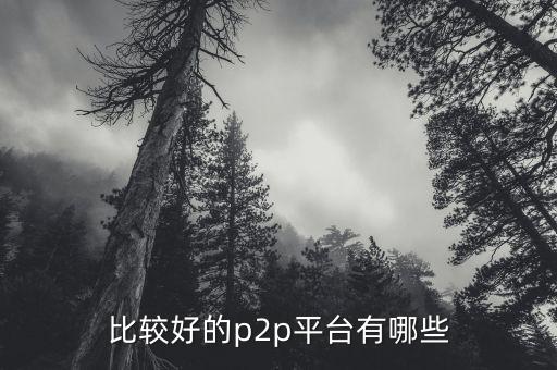 什么p2p平臺(tái)比較靠譜，請(qǐng)問國(guó)內(nèi)P2P平臺(tái)哪家比較安全可靠點(diǎn)想了解下