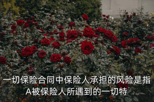 什么是保險(xiǎn)人承擔(dān)最多的風(fēng)險(xiǎn)，一切保險(xiǎn)合同中保險(xiǎn)人承擔(dān)的風(fēng)險(xiǎn)是指A被保險(xiǎn)人所遇到的一切特