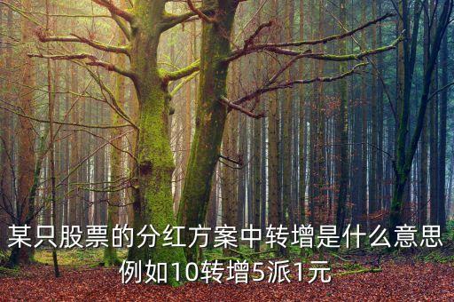 某只股票的分紅方案中轉增是什么意思例如10轉增5派1元