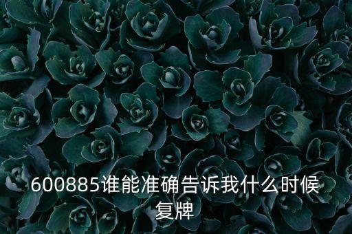 600885誰能準(zhǔn)確告訴我什么時候復(fù)牌