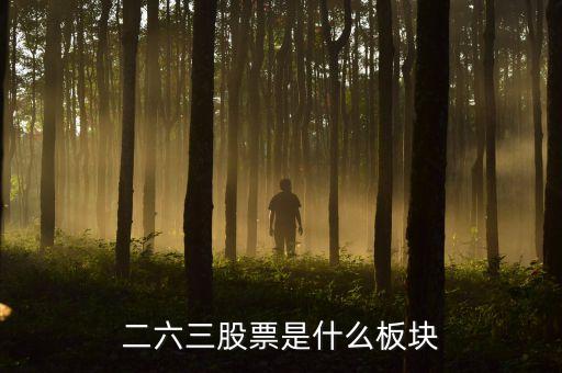 885726是什么板塊，885687股票板塊是什么意思