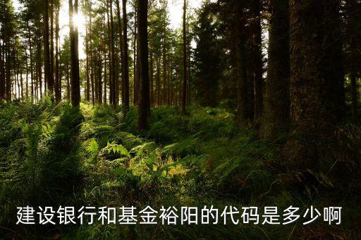 裕陽基金更名后叫什么，建設(shè)銀行和基金裕陽的代碼是多少啊