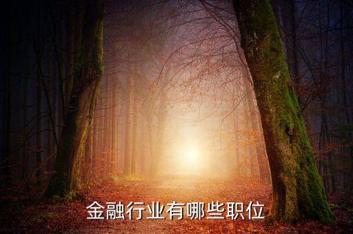 金融業(yè)有什么崗位，金融業(yè)有哪些職位