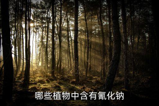 什么東西中可以提取氰化鈉，哪些植物中含有氰化鈉