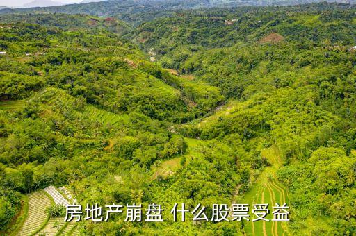 崩盤時持什么股，樓市崩盤前做什么投資比較好
