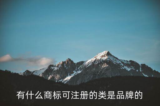 劉陽的全盛集團(tuán)的注冊(cè)商標(biāo)是什么，有什么商標(biāo)可注冊(cè)的類是品牌的