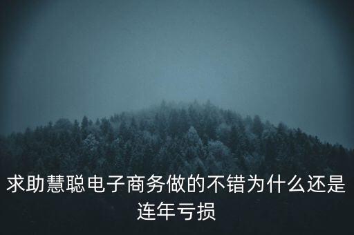 求助慧聰電子商務(wù)做的不錯(cuò)為什么還是連年虧損