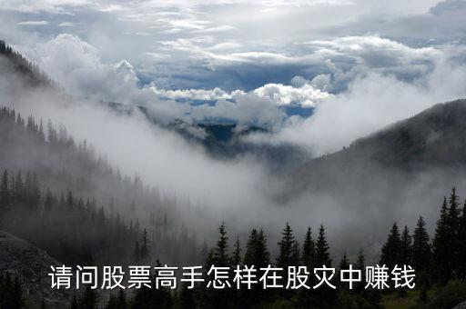 請問股票高手怎樣在股災中賺錢