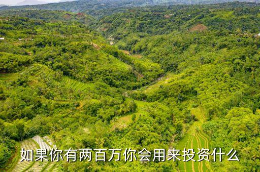 二百萬(wàn)投資什么項(xiàng)目，有二百萬(wàn)的投資該做些什么