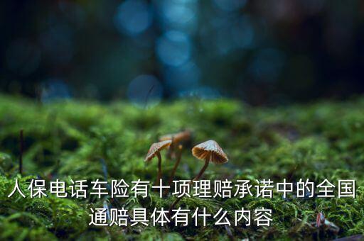 人保電話車險(xiǎn)有十項(xiàng)理賠承諾中的全國通賠具體有什么內(nèi)容