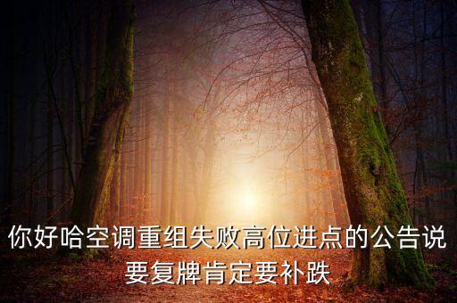 哈空調(diào)什么時候復牌，雙良節(jié)能停牌了 為什么哈空調(diào)不停牌 有高手知道