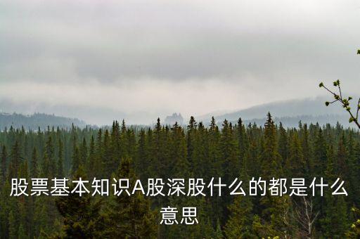 什么是實物股票，港股里面什么是股票實貨提取