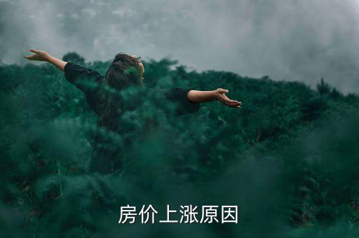 房價(jià)上漲原因