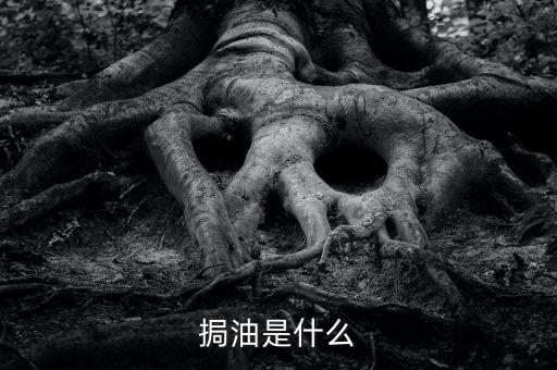 粵油是什么，輕質(zhì)油在炒原油里的什么油比如什么大連油粵油