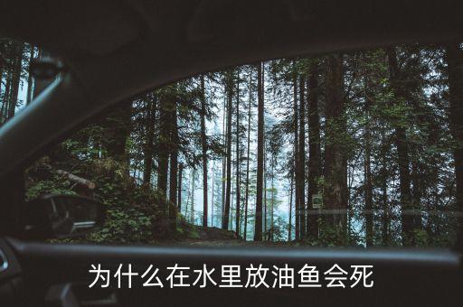 觀察放了油的魚(yú)為什么死了，為什么在水里放油魚(yú)會(huì)死