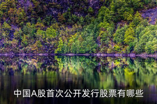 中國(guó)A股首次公開(kāi)發(fā)行股票有哪些