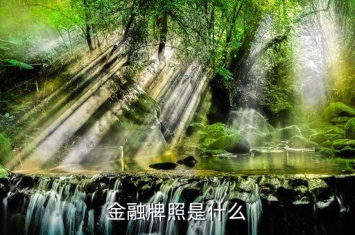 擔(dān)保公司的金融牌照是什么樣子的，金融牌照是什么