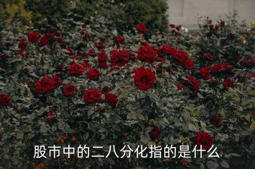 股票里的二八分化是什么，股票二八分化格局是什么意思